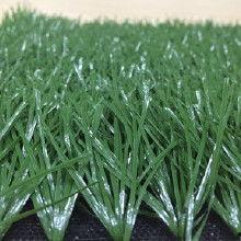 草国产,探寻自然与文化的交融之地